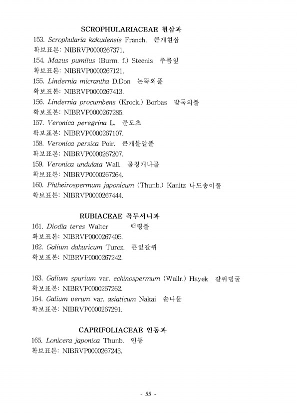 53페이지