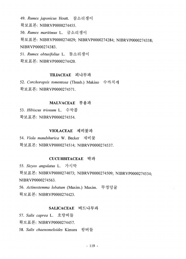 117페이지