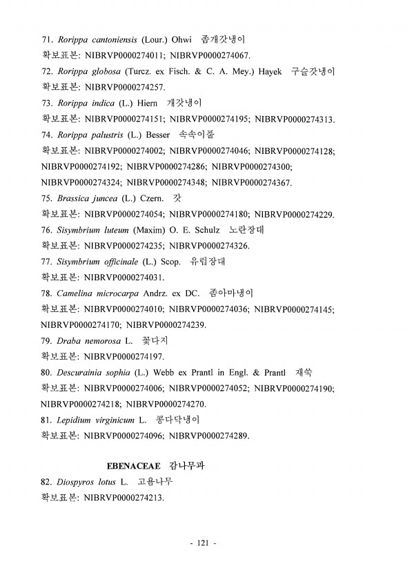119페이지