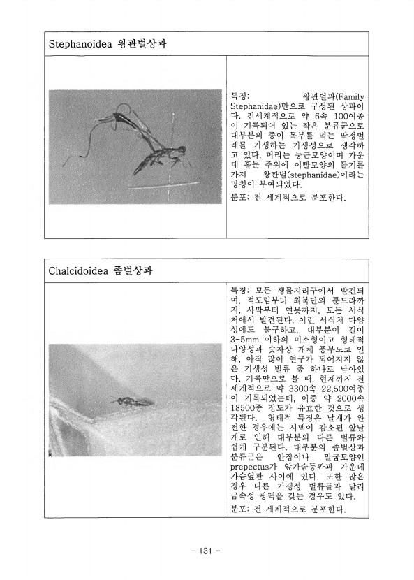 131페이지