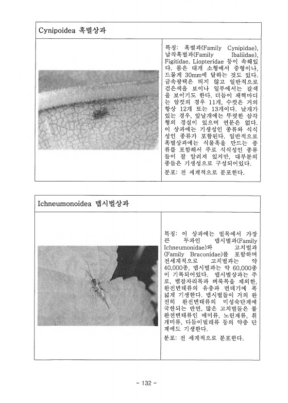 132페이지