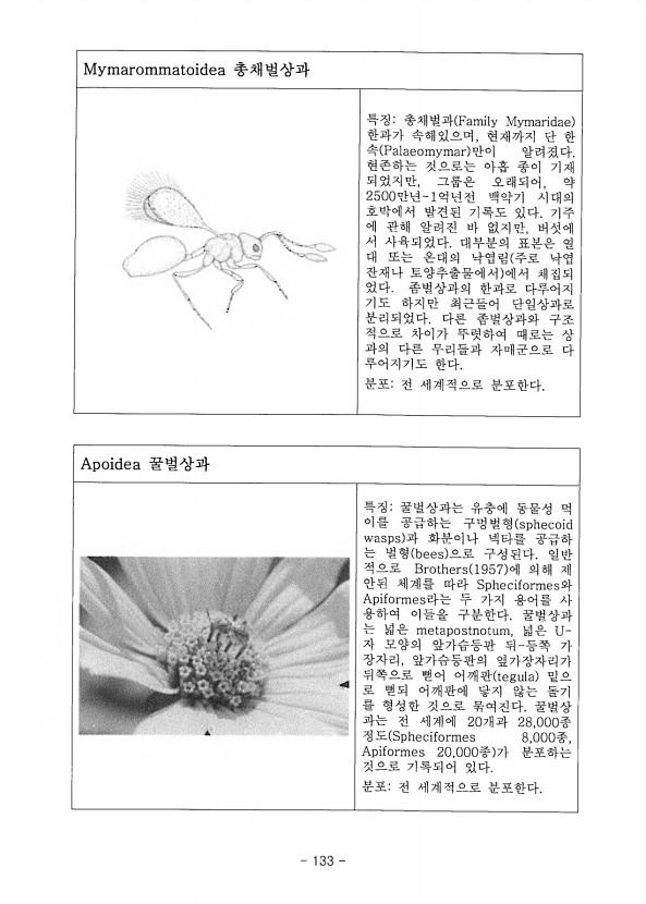 133페이지