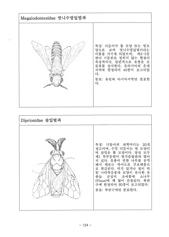 134페이지