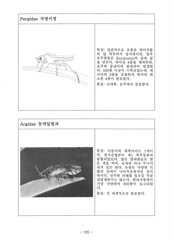 135페이지
