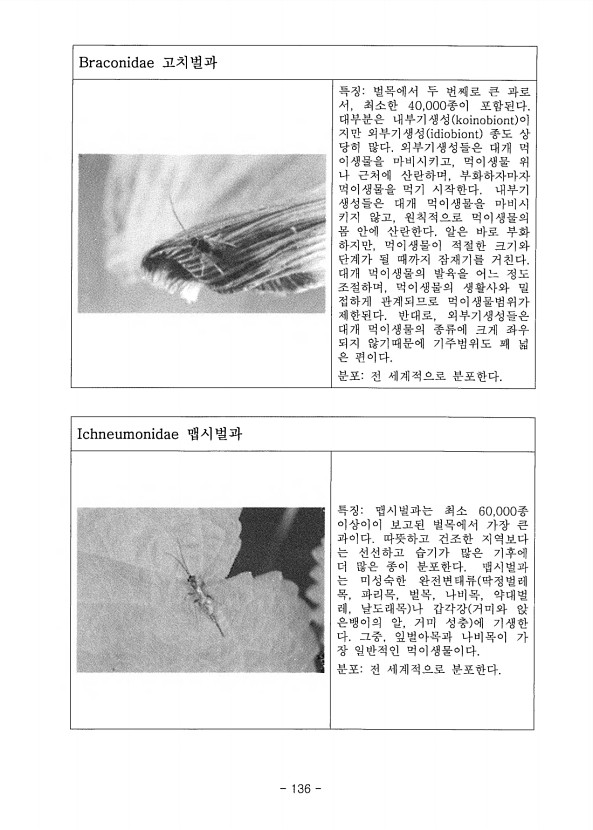 136페이지