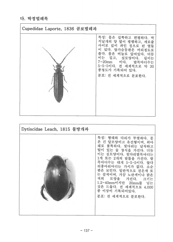 137페이지