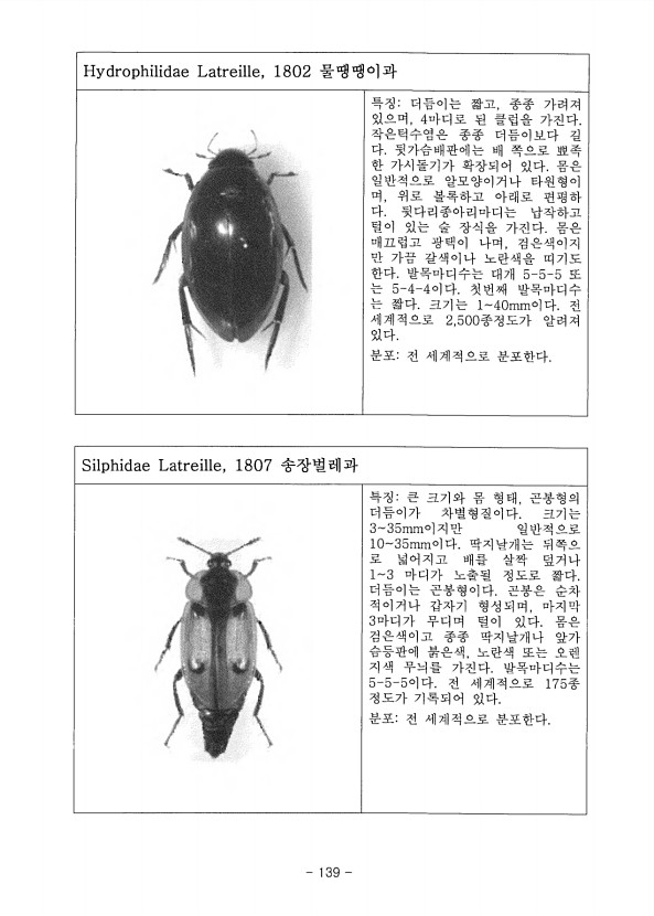 139페이지
