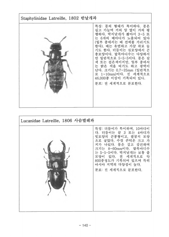 140페이지