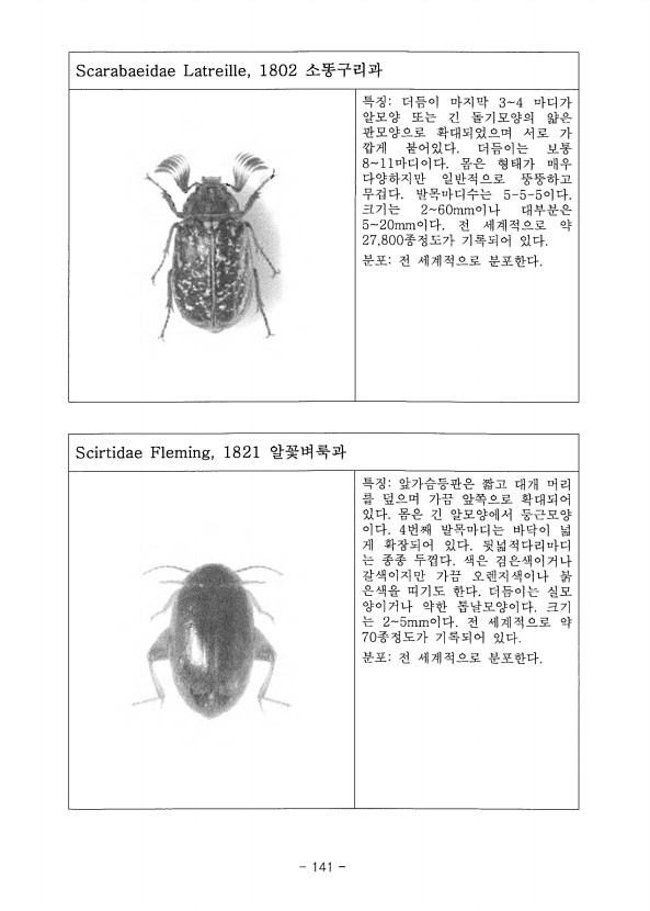 141페이지