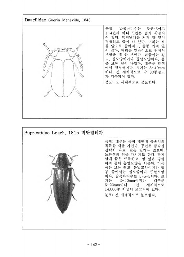 142페이지