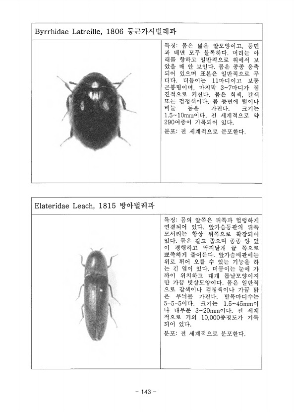 143페이지