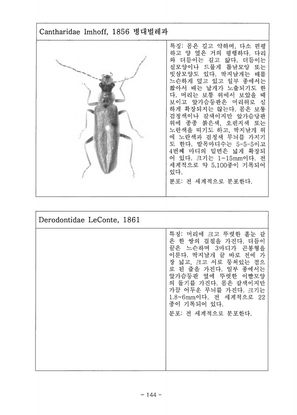 144페이지