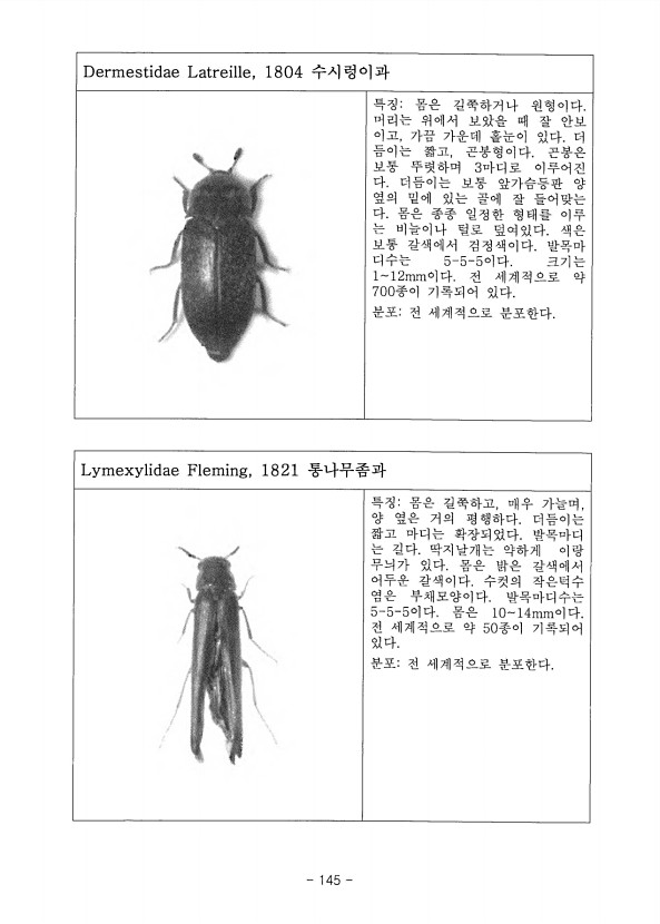 145페이지