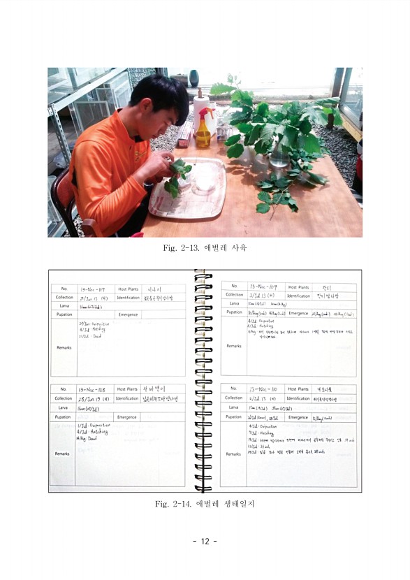 10페이지