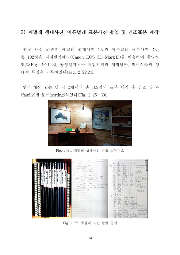 12페이지