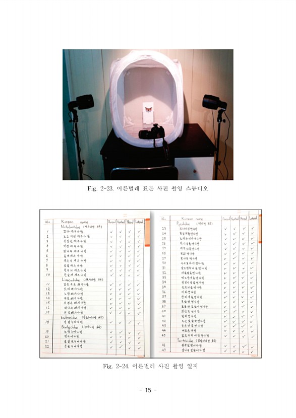 13페이지