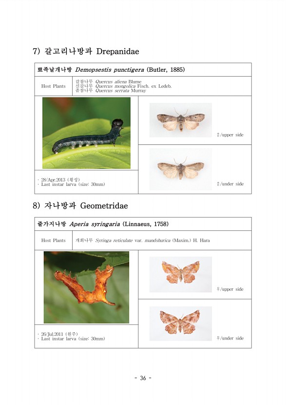 44페이지