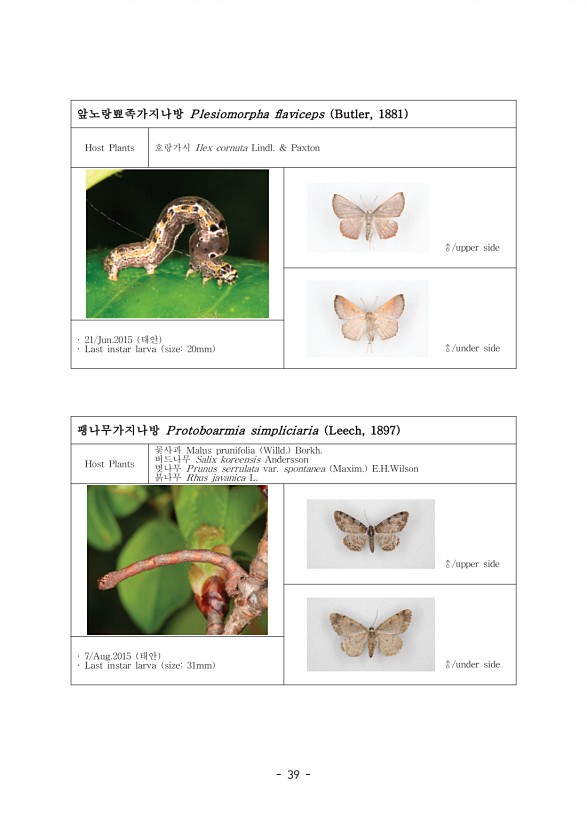 26페이지