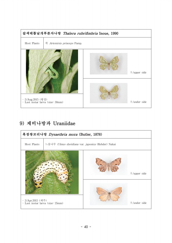 48페이지