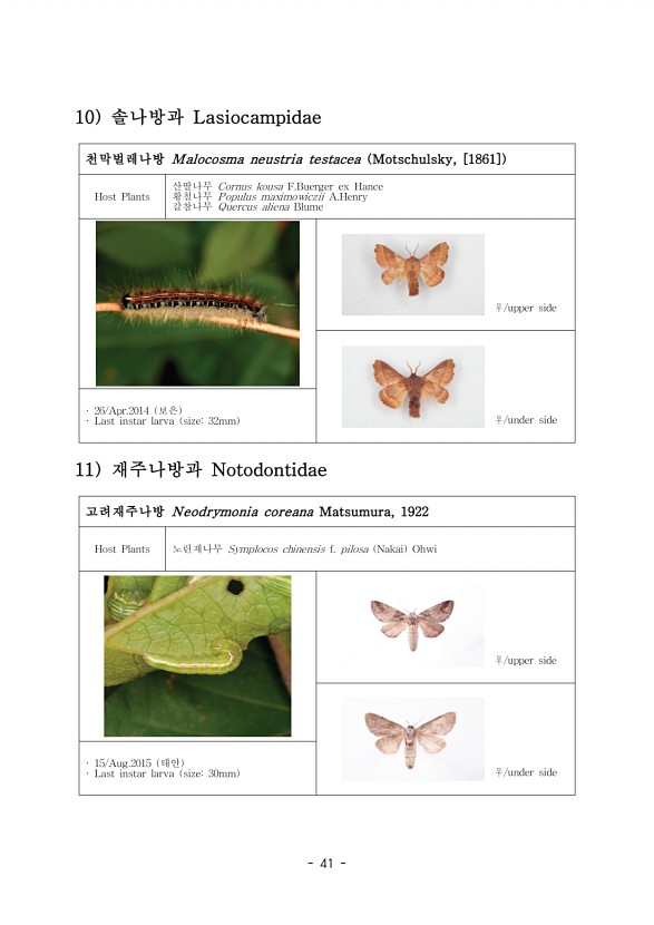 49페이지