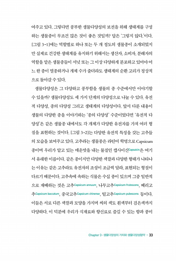 23페이지