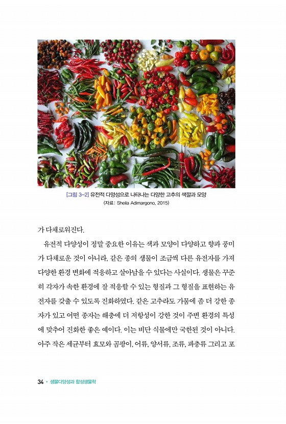 24페이지