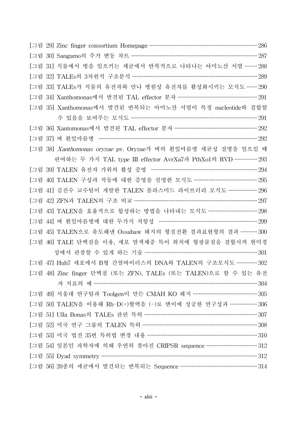 37페이지