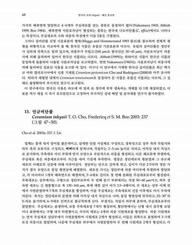70페이지