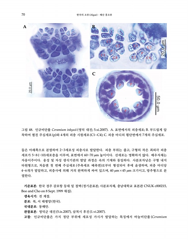 72페이지