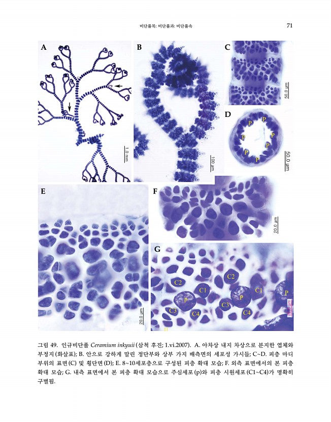 73페이지