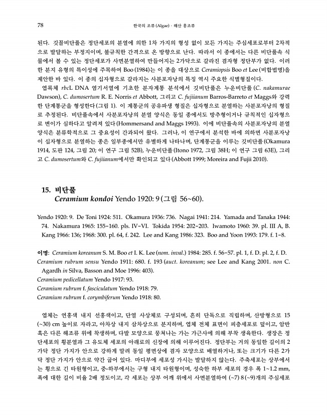 80페이지