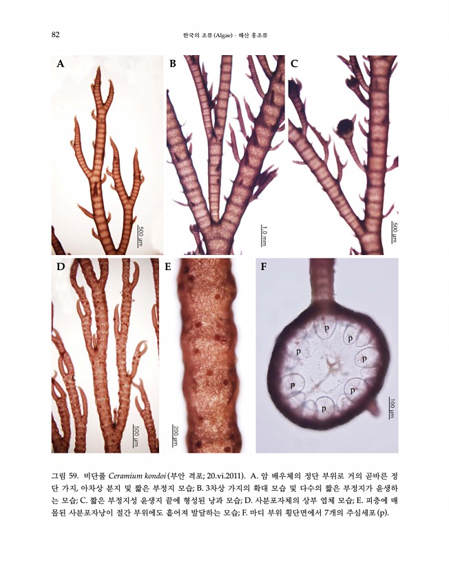 84페이지