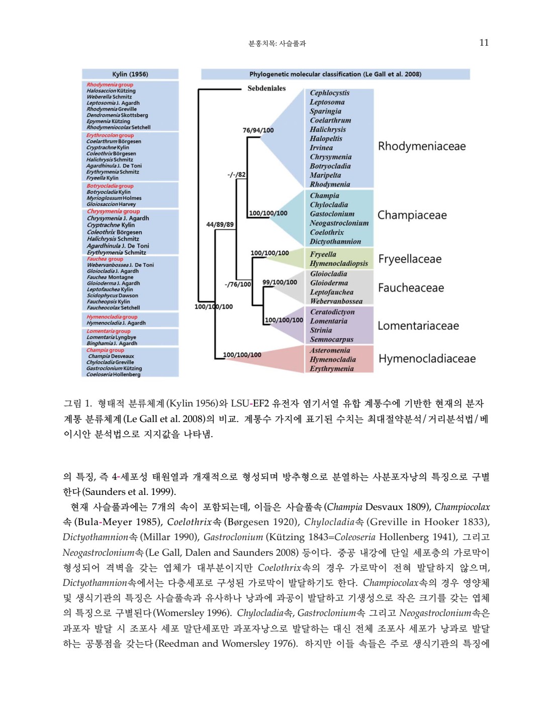페이지
