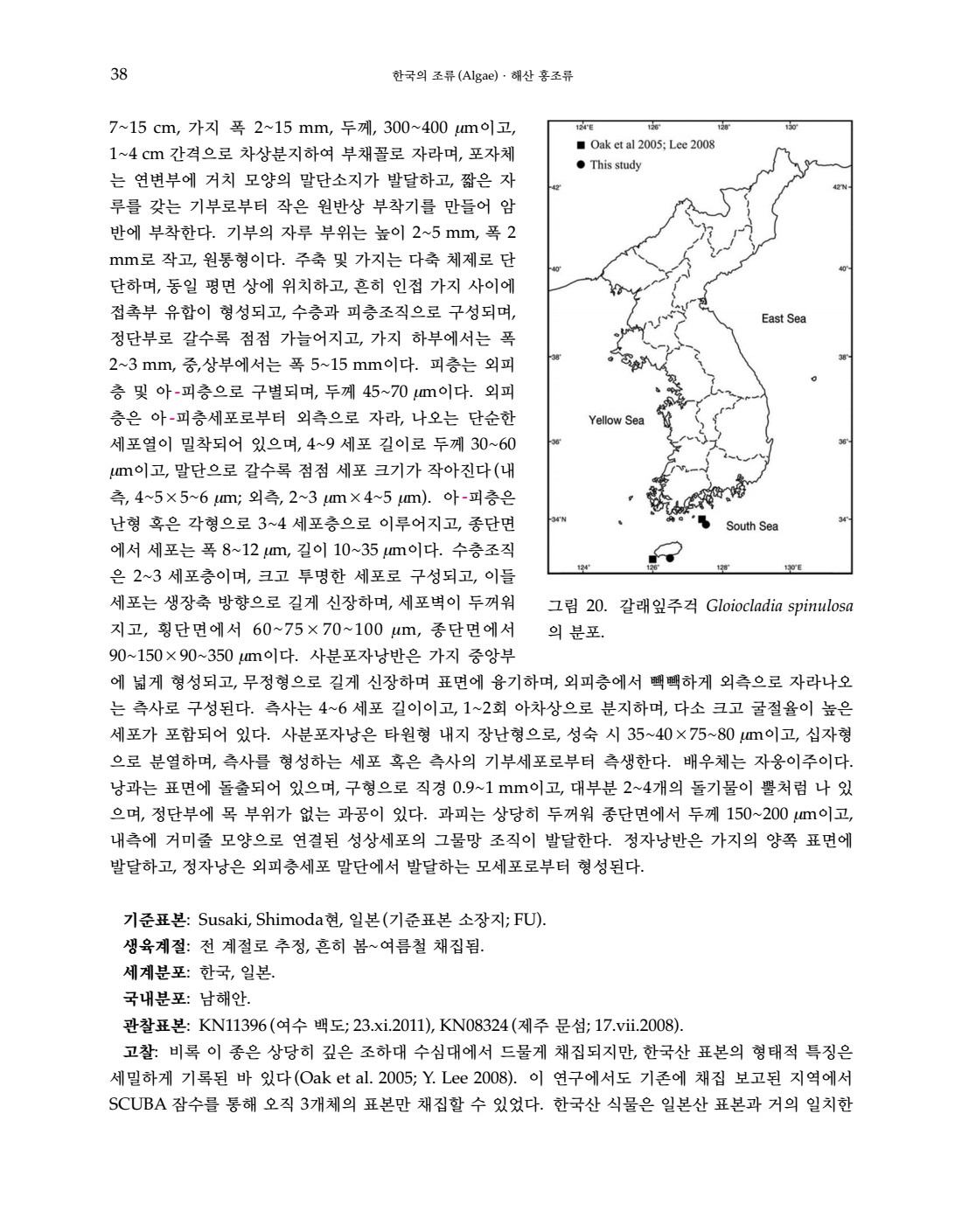 페이지