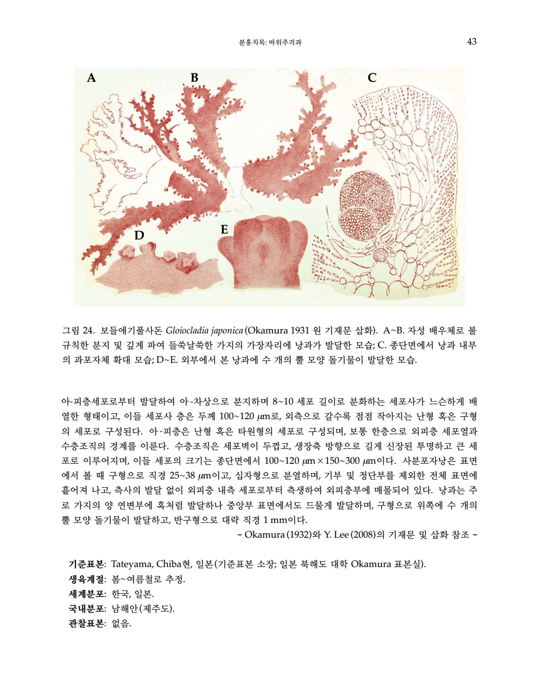 페이지