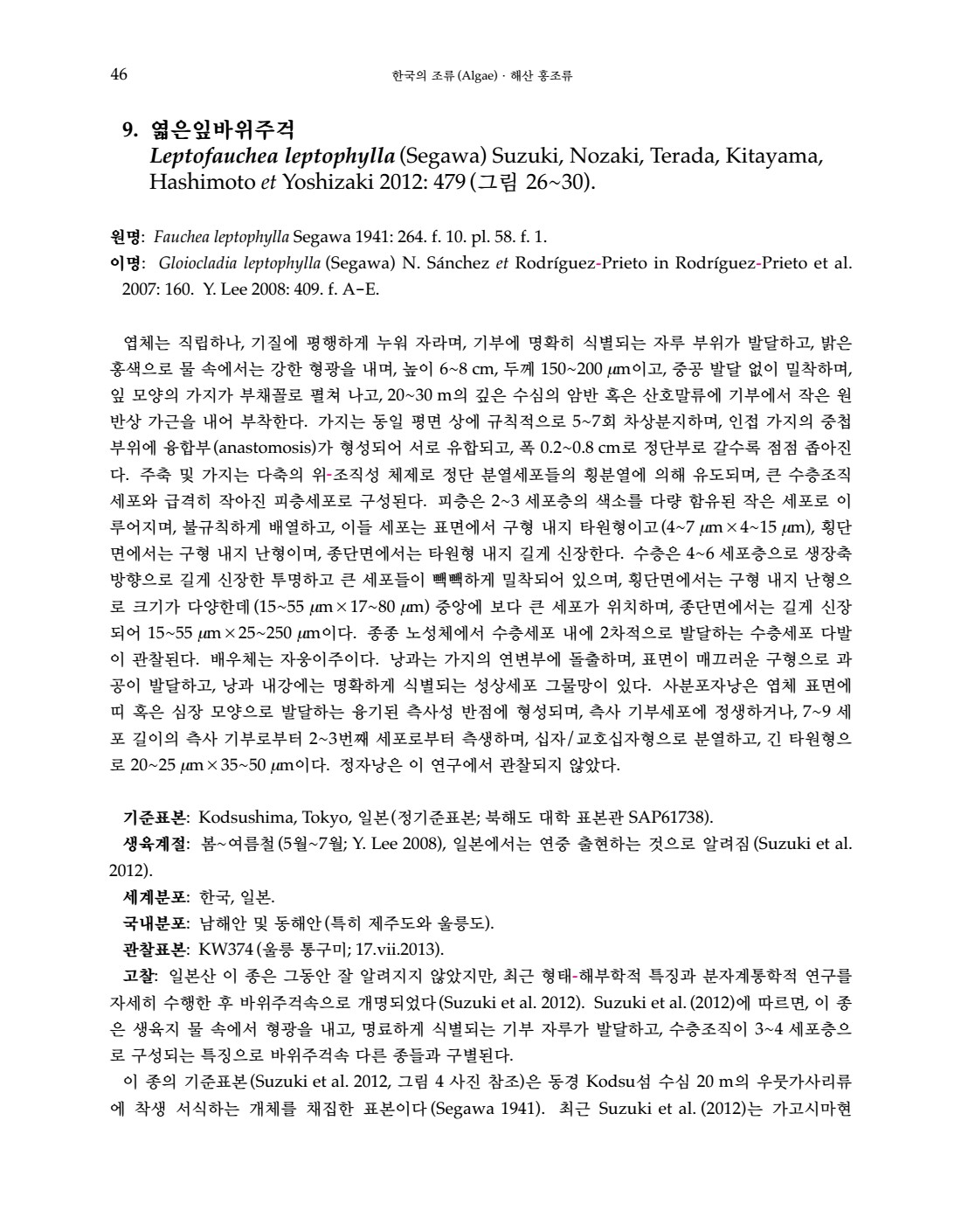 페이지