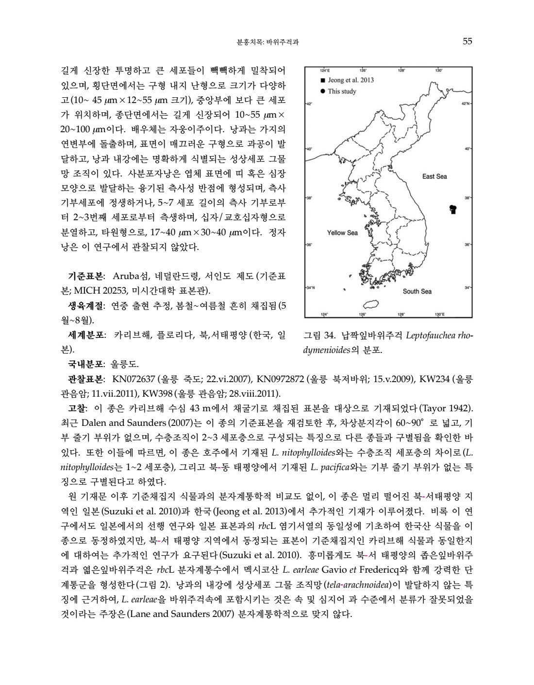 페이지