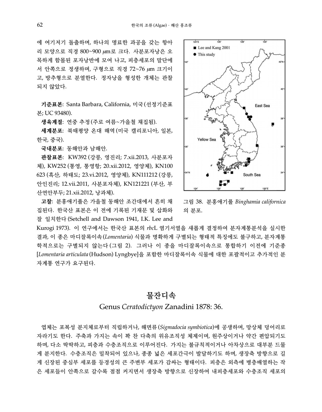 페이지