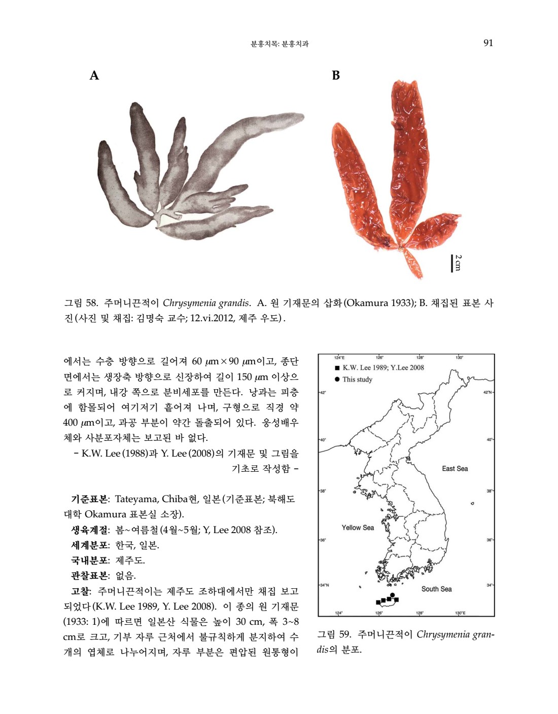 페이지