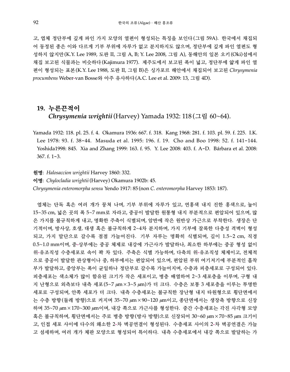페이지