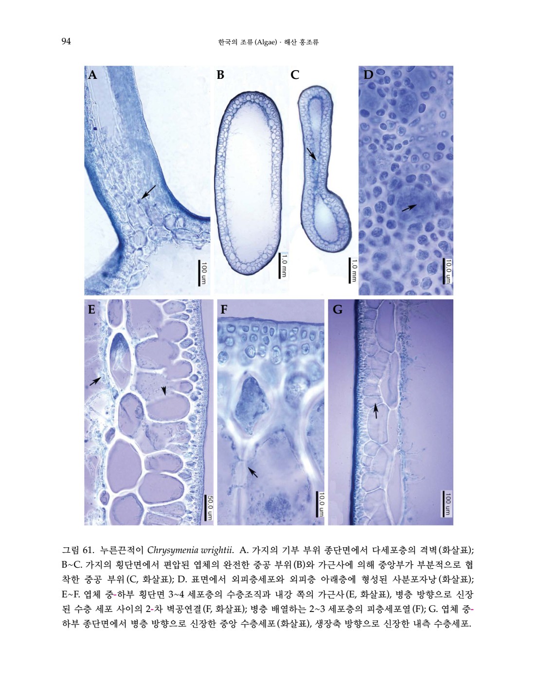 페이지