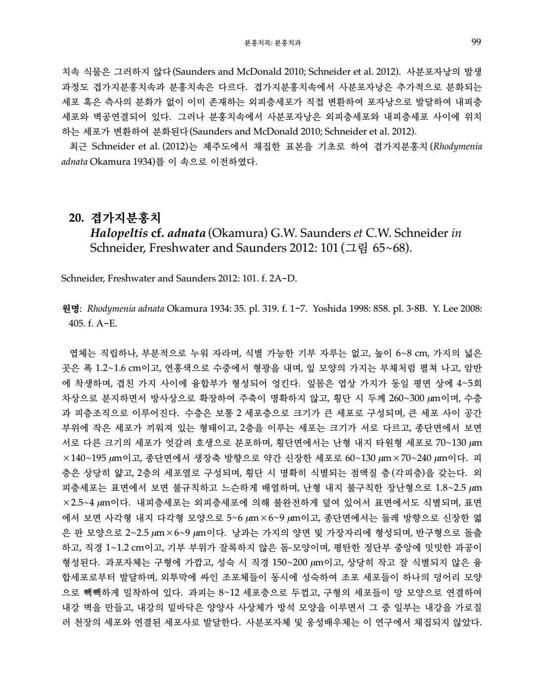 페이지