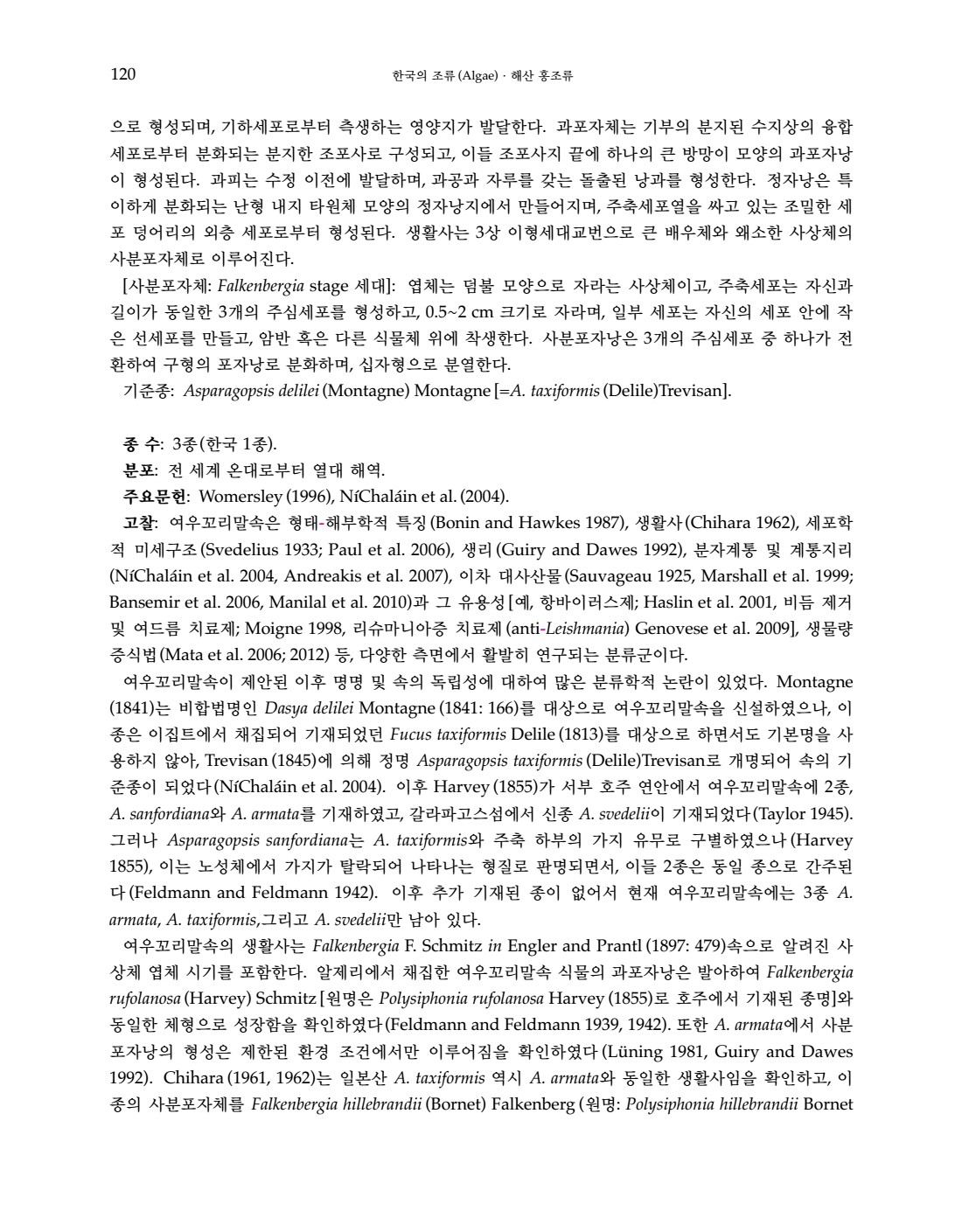 페이지