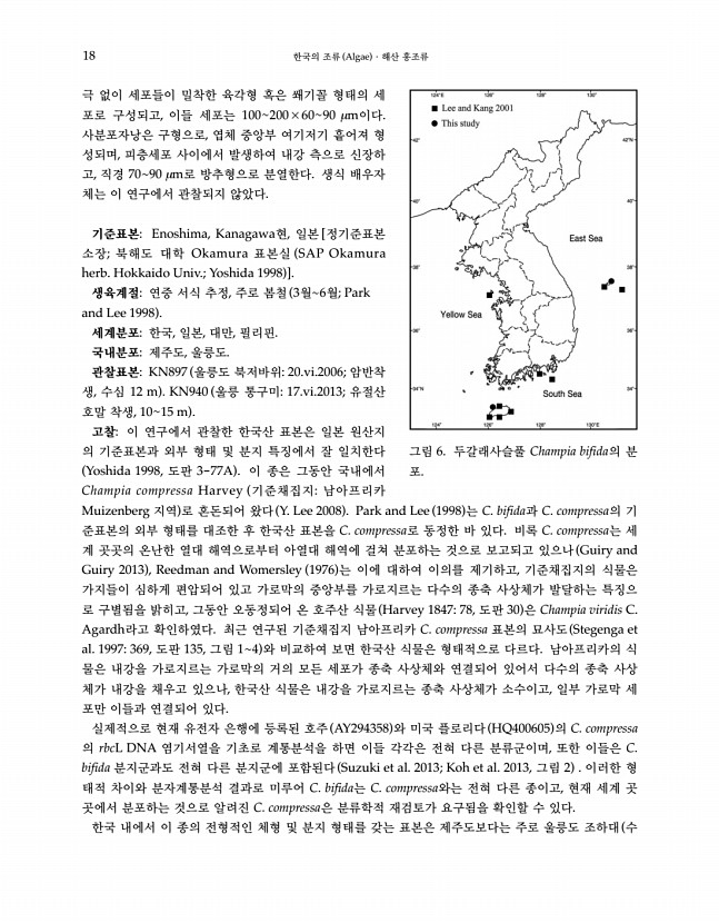 17페이지