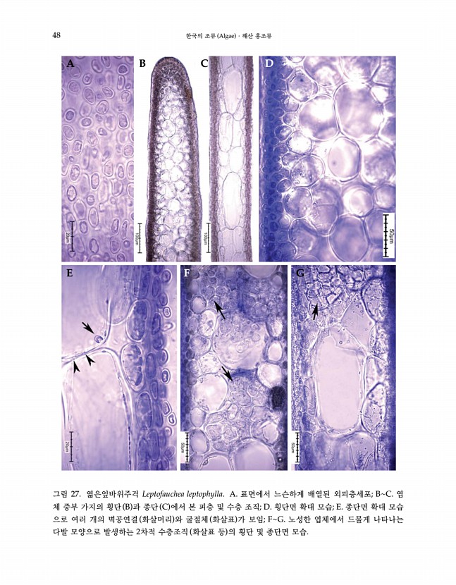 47페이지