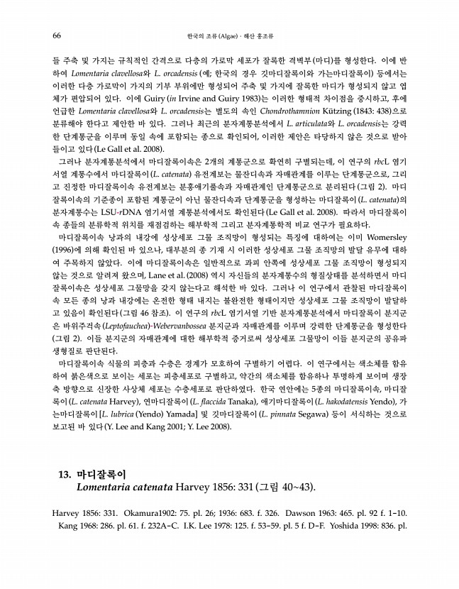 65페이지