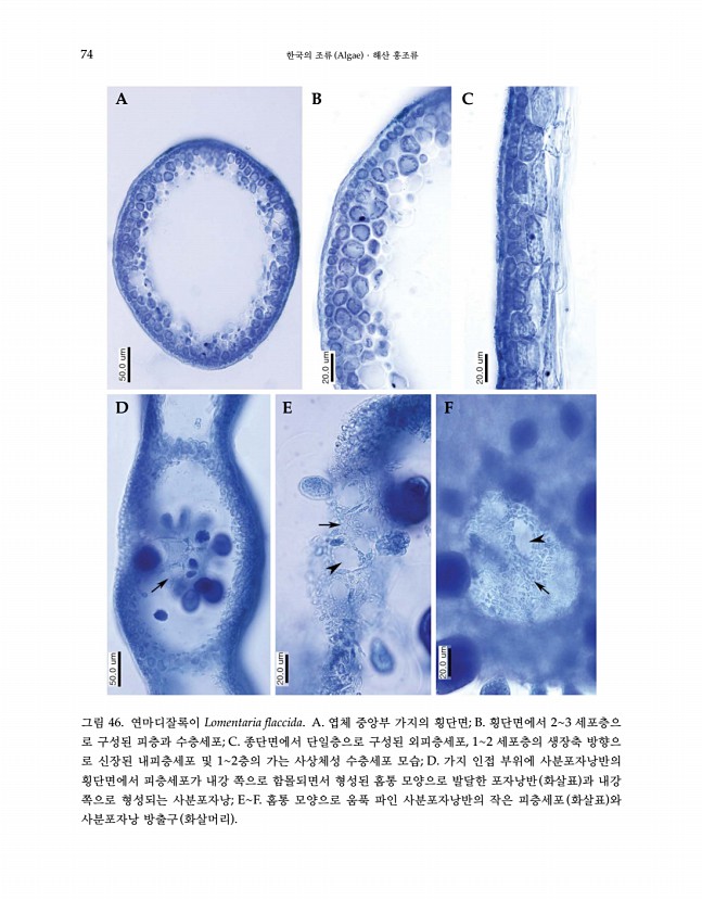 73페이지