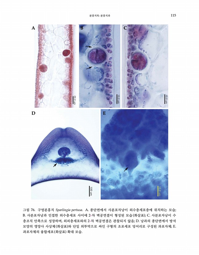 114페이지