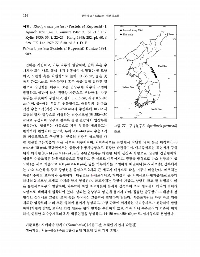 115페이지
