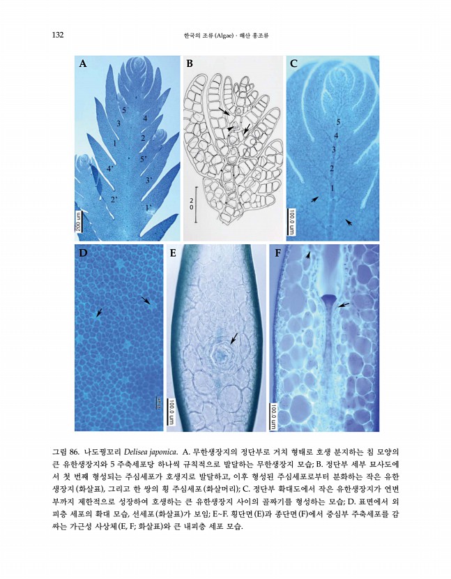 131페이지